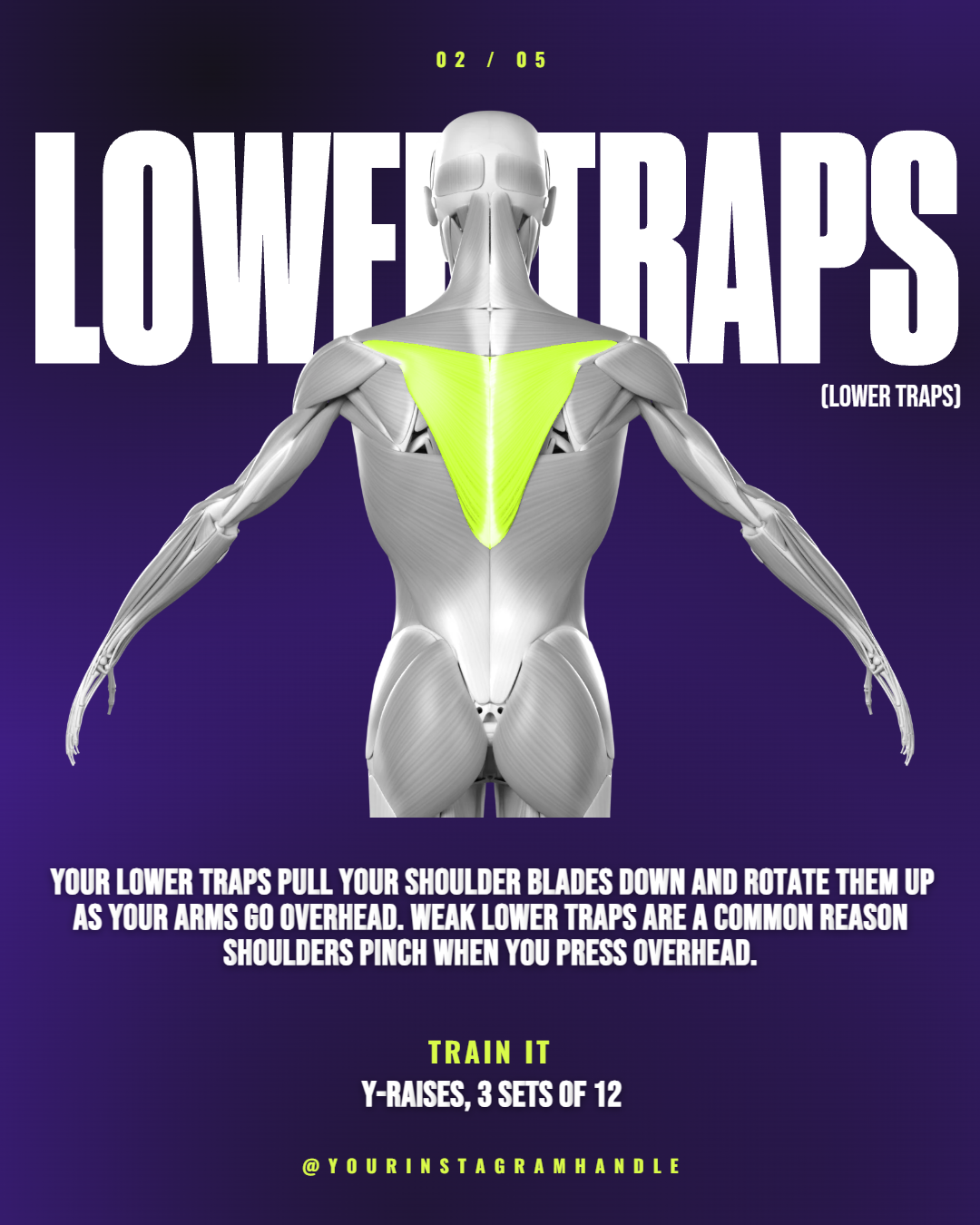 5 Muscles You're Skipping, slide 3